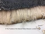 Thread 18475462 OP Image