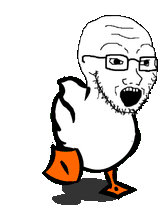 duckduck