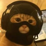 Thread 18478807 OP Image