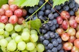 Grapes-background