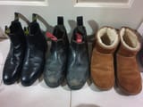 allboot