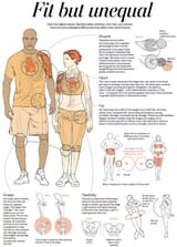 male_female_anatomy_differences