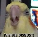 disgust