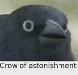1734634477894831