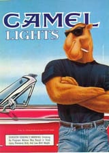 joecamel4ea7ac44bbb7238c700b8e0d006244af