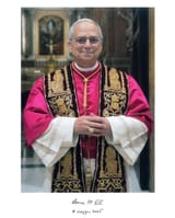 the-vatican-release-the-first-official-portrait-of-of-pope-v0-zv2143lg6a0f1