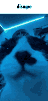 1739638958781576