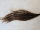 Thread 18489174 OP Image