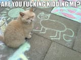 371
