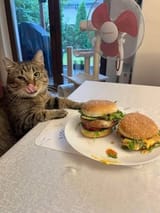 catburger