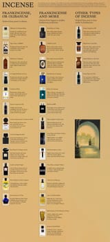 infographic 25-02-25