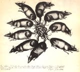 Rat+king+of+Gross+Ballheiser,+found+13+July+1748,+copper+engraving,+pub+dom-2579311713