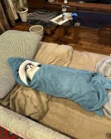 Sleeping