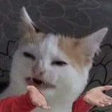 1749392076579275