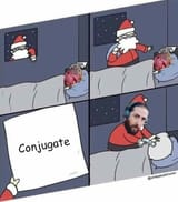 Conjugate