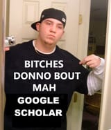 bdk-google-scholar