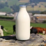 milk