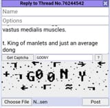 Screenshot_20250612_020531_Chrome