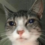 1706346573684506