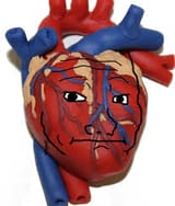 wojak-heart