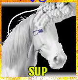 firefox_KKjTKpz0UJ