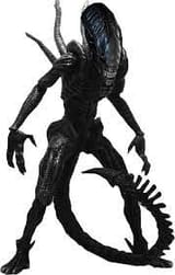 Xeno