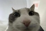 1745616169626888