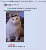 Screenshot 2025-06-07 at 11-50-06 _fit_ - Do you look fit with clothes on or are you stealth - Fitness - 4chan