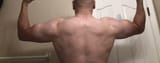shamrock back
