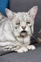 14928548-7153189-Toby_has_Ehlers_Danlos_syndrome_that_affects_his_skin_making_it_-m-13_1560853122833