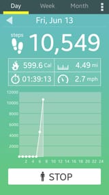 Screenshot_20250613-065738_Pedometer