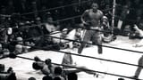 KNOCKDOWN-1024x576