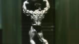 Mike Mentzer back