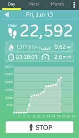 Screenshot_20250613-181859_Pedometer