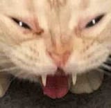1618298998933