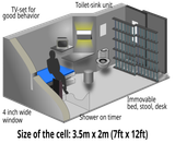 YourCell
