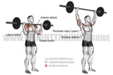 barbell-military-press-resized