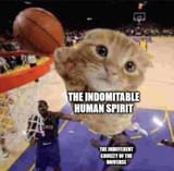 1679145647264136