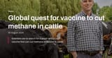 cow-toot=hitler
