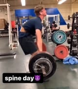 spine