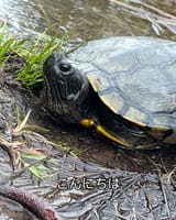 D7A14398-1620-4DEB-BE2F-FB513F400E17