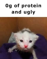 0 gram of protein and ugly