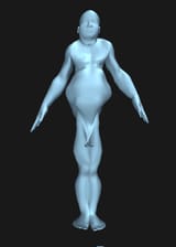 Screenshot 2025-06-15 at 12-03-31 Body Builder