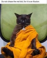monk