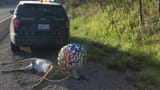 get-well-soon