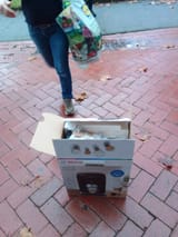 IMG-20241209-WA0007
