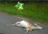 get-well