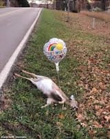 get well