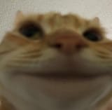 1663879107429335