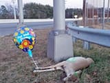 get well soon 2